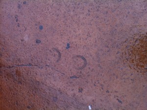 Hoofprints in Magic Kingdom's Storybook Circus Area