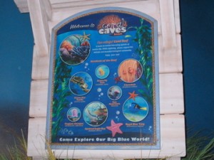 Sign in The Seas With Nemo & Friends