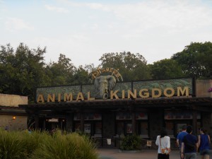 Disney's Animal Kingdom Entrance