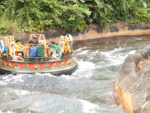 Animal Kingdom's Kali River Rapids