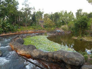 View of Kali River