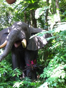 WDW Jungle Cruise Elephant