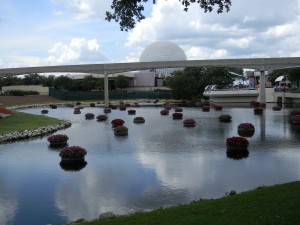 Epcot View