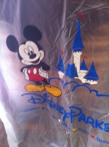 Disney Parks Poncho