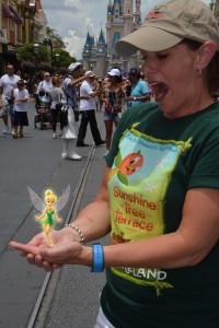 Magic Picture with Tinker Bell