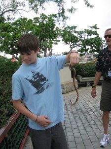 Snake in Epcot's China Pavillion