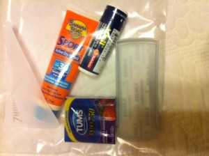 Mini First Aid Kit for Walt Disney World Travel