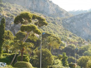 Mediterranean Landscape