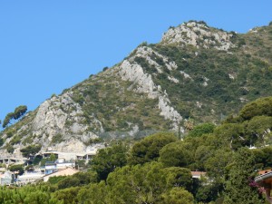 Hillside in the Mediterranean