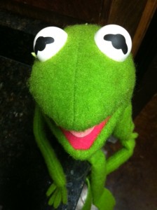 My Own Kermit