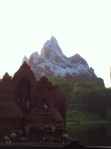 Animal Kingdom's Expedition Everest