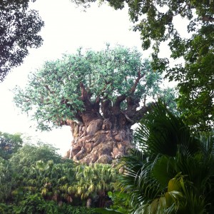 Animal Kingdom's Tree of Life