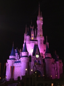 Cinderella Castle at Night