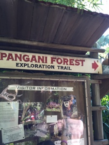 RM-Pangani-Forest