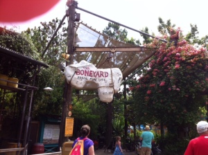 RM-Dinoland-USA