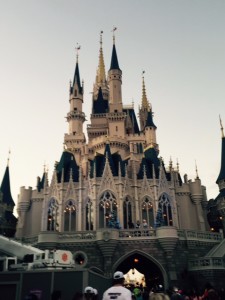 Princess-Half-Castle