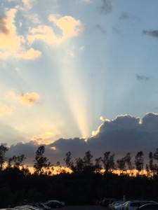 RM-Sunset-Animal-Kingdom-Lodge