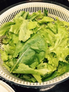 RM-Lettuce-for-Salad