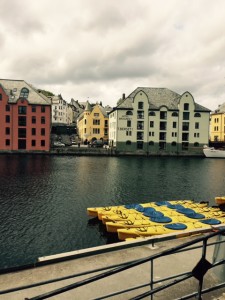 Alesund-Fjord-View