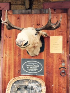 Bergen-Moose-Leather-shop