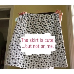 Stitch-Fix-Skirt