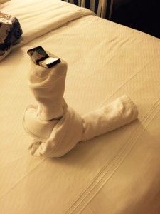 Towel-Snake