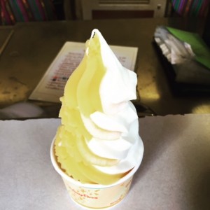 Disney World Citrus Swirl