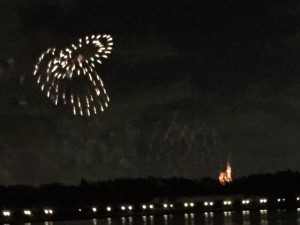 Narcoossee's view of fireworks at MK