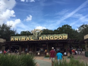 Animal Kingdom-Entrance