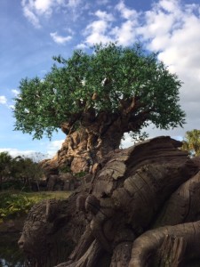 Tree of Life 2016