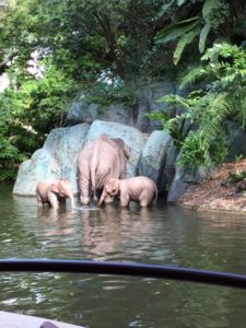 Jungle Cruise Elephant Family