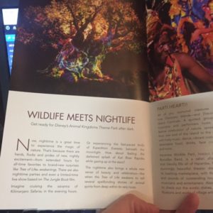 mickey-monitor-fall-2016-animal-kingdom-at-night