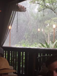 Disney World in June - It's Going to Rain