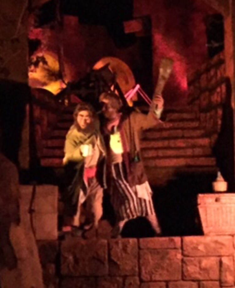 pirates of the caribbean drop disney world