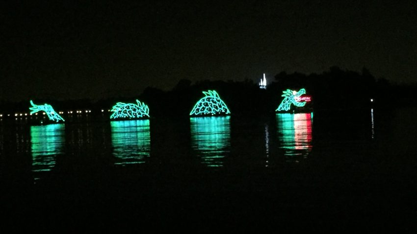 Disney World's Electrical Water Pageant