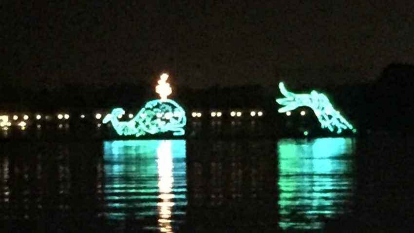 Disney World Electrical Water Pageant