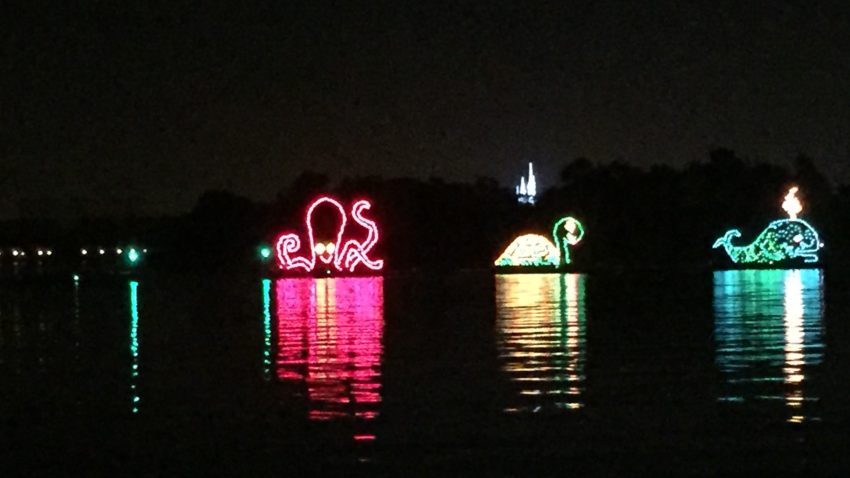 Disney World Electrical Water Pageant