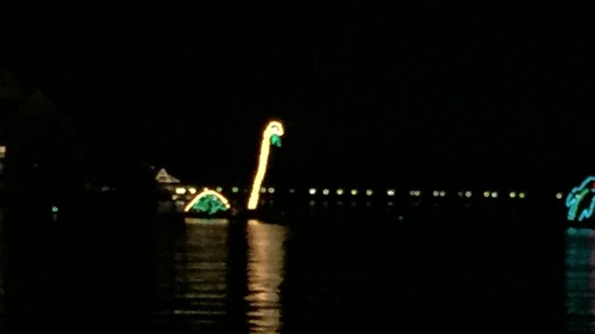 Disney World Electrical Water Pageant
