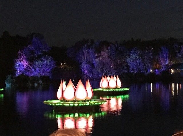 Who Would Love Disney's Rivers of Light?