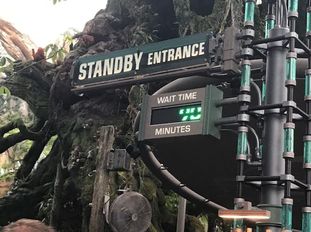 Who Would Love Disney's Flight of Passage?