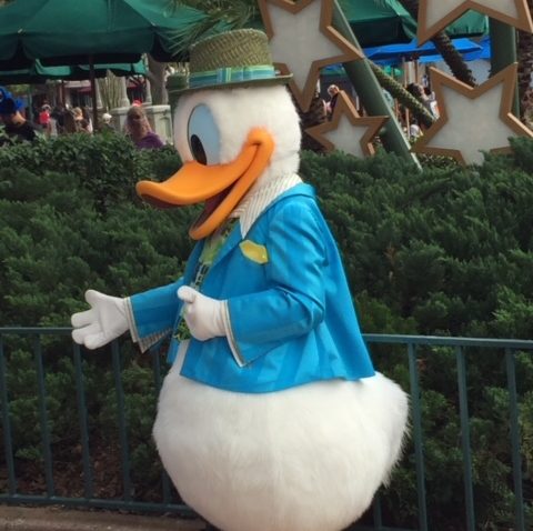 Finding Donald at Walt Disney World